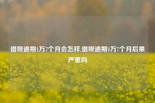 借呗逾期1万7个月会怎样,借呗逾期1万7个月后果严重吗