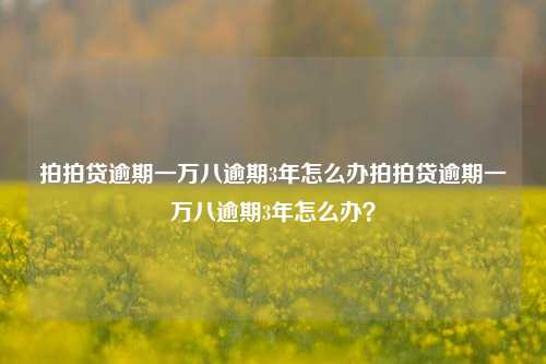 拍拍贷逾期一万八逾期3年怎么办拍拍贷逾期一万八逾期3年怎么办？