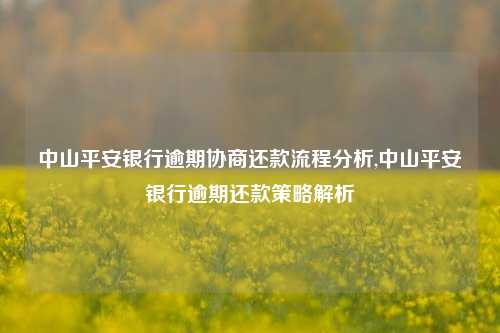 中山平安银行逾期协商还款流程分析,中山平安银行逾期还款策略解析