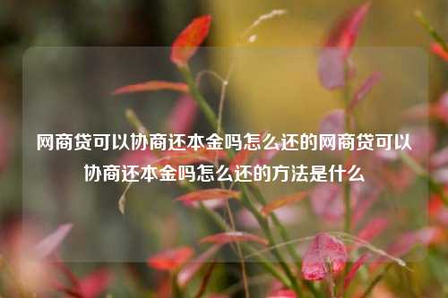 网商贷可以协商还本金吗怎么还的网商贷可以协商还本金吗怎么还的方法是什么