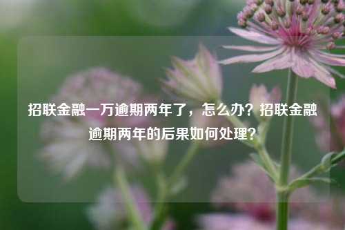 招联金融一万逾期两年了，怎么办？招联金融逾期两年的后果如何处理？