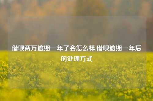 借呗两万逾期一年了会怎么样,借呗逾期一年后的处理方式