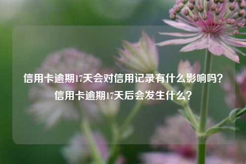 信用卡逾期17天会对信用记录有什么影响吗？信用卡逾期17天后会发生什么？