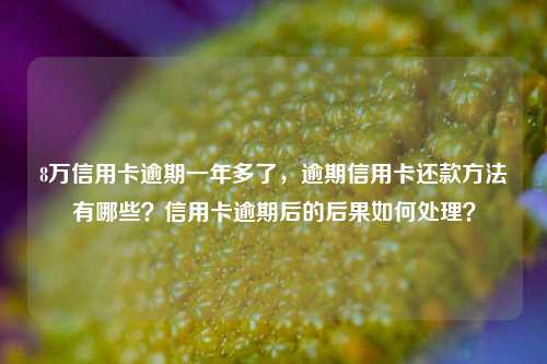 8万信用卡逾期一年多了，逾期信用卡还款方法有哪些？信用卡逾期后的后果如何处理？