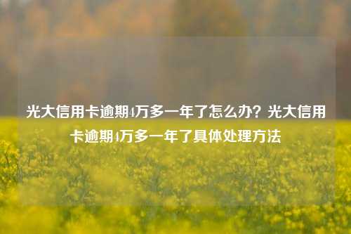 光大信用卡逾期4万多一年了怎么办？光大信用卡逾期4万多一年了具体处理方法