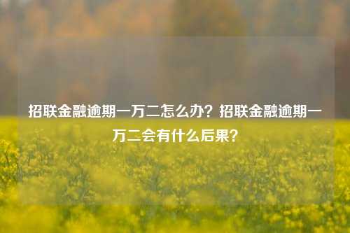 招联金融逾期一万二怎么办？招联金融逾期一万二会有什么后果？