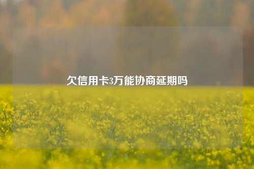 欠信用卡3万能协商延期吗