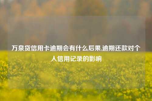 万泉贷信用卡逾期会有什么后果,逾期还款对个人信用记录的影响