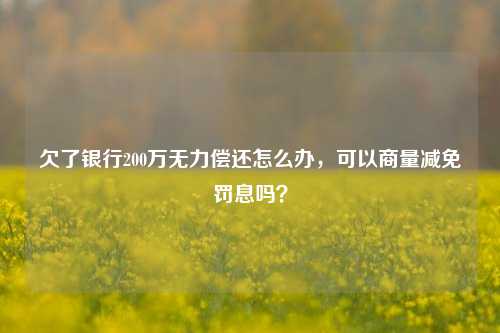 欠了银行200万无力偿还怎么办，可以商量减免罚息吗？