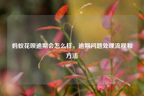 蚂蚁花呗逾期会怎么样，逾期问题处理流程和方法