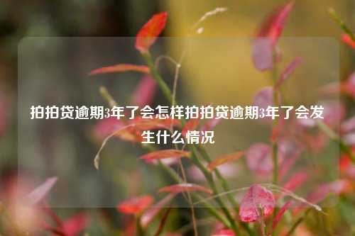 拍拍贷逾期3年了会怎样拍拍贷逾期3年了会发生什么情况