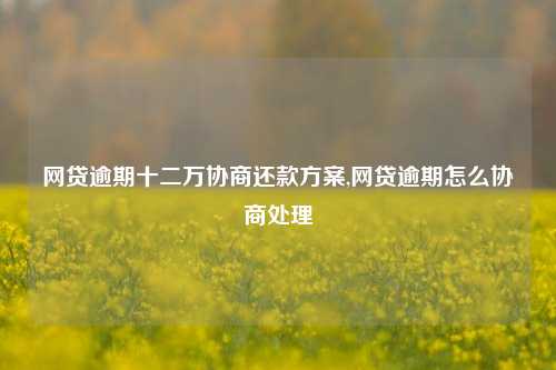 网贷逾期十二万协商还款方案,网贷逾期怎么协商处理