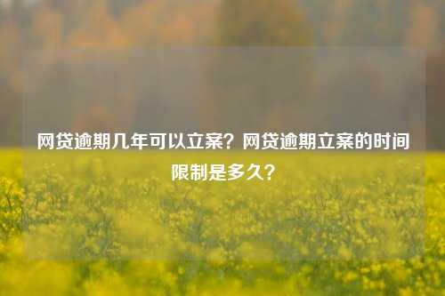 网贷逾期几年可以立案？网贷逾期立案的时间限制是多久？