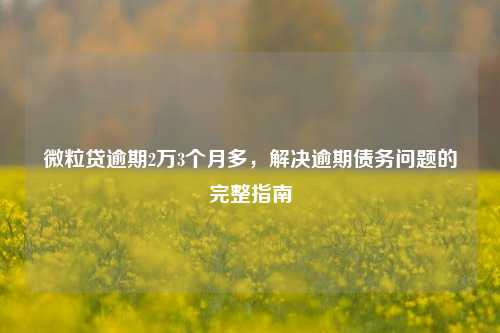 微粒贷逾期2万3个月多，解决逾期债务问题的完整指南