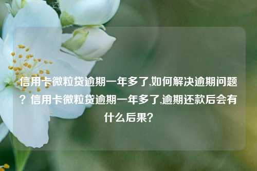 信用卡微粒贷逾期一年多了,如何解决逾期问题？信用卡微粒贷逾期一年多了,逾期还款后会有什么后果？