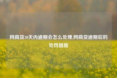 网商贷30天内逾期会怎么处理,网商贷逾期后的处罚措施