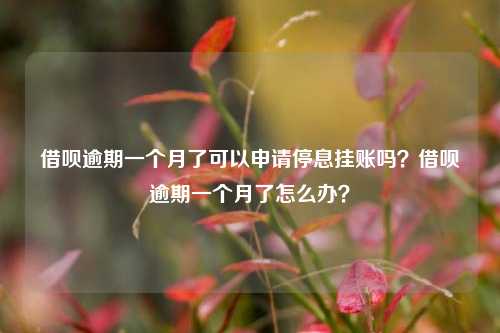 借呗逾期一个月了可以申请停息挂账吗？借呗逾期一个月了怎么办？