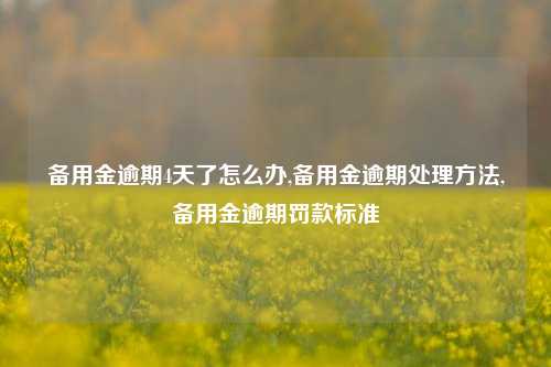 备用金逾期4天了怎么办,备用金逾期处理方法,备用金逾期罚款标准