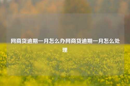 网商贷逾期一月怎么办网商贷逾期一月怎么处理