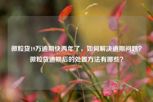 微粒贷19万逾期快两年了，如何解决逾期问题？微粒贷逾期后的处置方法有哪些？