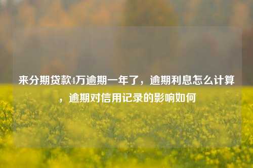 来分期贷款4万逾期一年了，逾期利息怎么计算，逾期对信用记录的影响如何