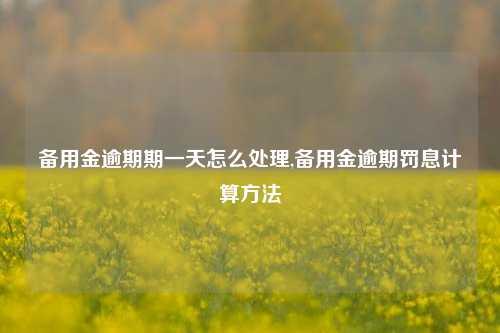 备用金逾期期一天怎么处理,备用金逾期罚息计算方法