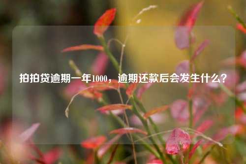 拍拍贷逾期一年1000，逾期还款后会发生什么？