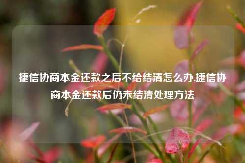 捷信协商本金还款之后不给结清怎么办,捷信协商本金还款后仍未结清处理方法