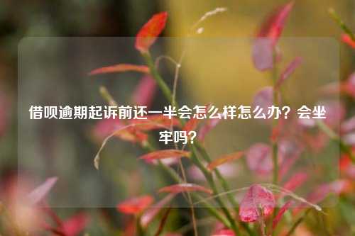 借呗逾期起诉前还一半会怎么样怎么办？会坐牢吗？