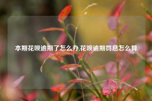 本期花呗逾期了怎么办,花呗逾期罚息怎么算