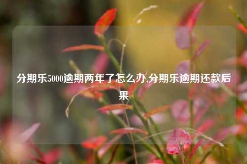 分期乐5000逾期两年了怎么办,分期乐逾期还款后果