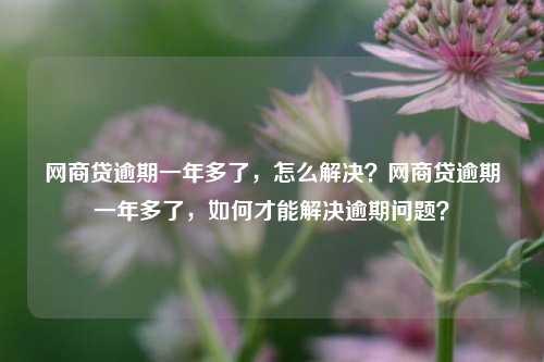 网商贷逾期一年多了，怎么解决？网商贷逾期一年多了，如何才能解决逾期问题？