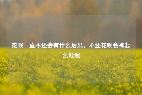 花呗一直不还会有什么后果，不还花呗会被怎么处理