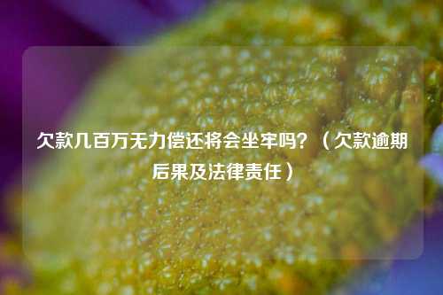 欠款几百万无力偿还将会坐牢吗？（欠款逾期后果及法律责任）