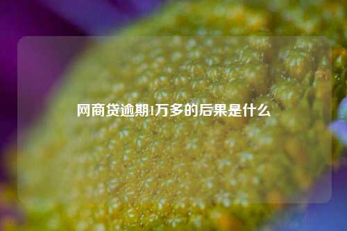 网商贷逾期1万多的后果是什么