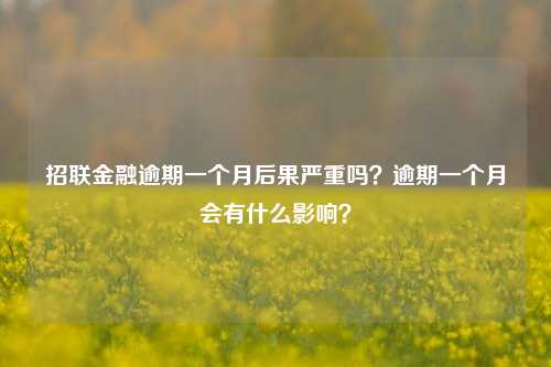 招联金融逾期一个月后果严重吗？逾期一个月会有什么影响？