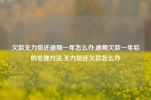 欠款无力偿还逾期一年怎么办,逾期欠款一年后的处理方法,无力偿还欠款怎么办