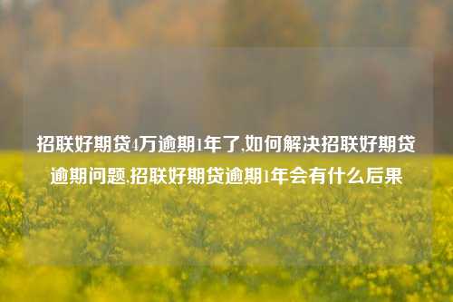 招联好期贷4万逾期1年了,如何解决招联好期贷逾期问题,招联好期贷逾期1年会有什么后果