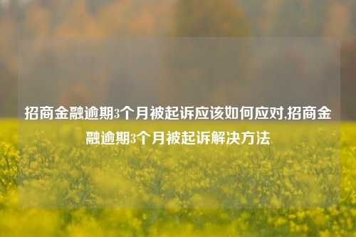 招商金融逾期3个月被起诉应该如何应对,招商金融逾期3个月被起诉解决方法