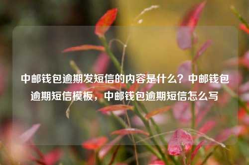 中邮钱包逾期发短信的内容是什么？中邮钱包逾期短信模板，中邮钱包逾期短信怎么写