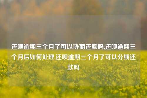 还呗逾期三个月了可以协商还款吗,还呗逾期三个月后如何处理,还呗逾期三个月了可以分期还款吗