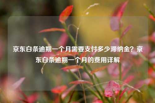 京东白条逾期一个月需要支付多少滞纳金？京东白条逾期一个月的费用详解