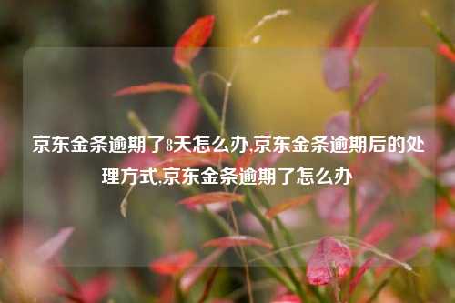 京东金条逾期了8天怎么办,京东金条逾期后的处理方式,京东金条逾期了怎么办