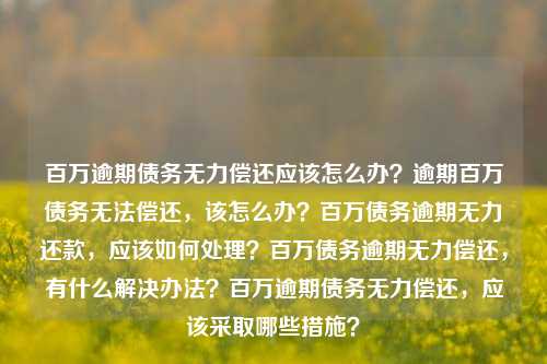 百万逾期债务无力偿还应该怎么办？逾期百万债务无法偿还，该怎么办？百万债务逾期无力还款，应该如何处理？百万债务逾期无力偿还，有什么解决办法？百万逾期债务无力偿还，应该采取哪些措施？