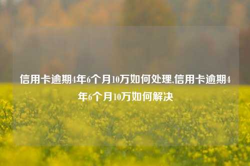 信用卡逾期4年6个月10万如何处理,信用卡逾期4年6个月10万如何解决