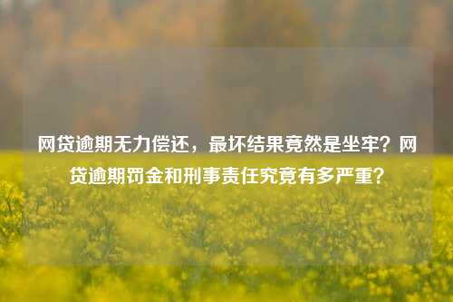 网贷逾期无力偿还，最坏结果竟然是坐牢？网贷逾期罚金和刑事责任究竟有多严重？