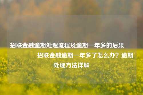 招联金融逾期处理流程及逾期一年多的后果                     招联金融逾期一年多了怎么办？逾期处理方法详解