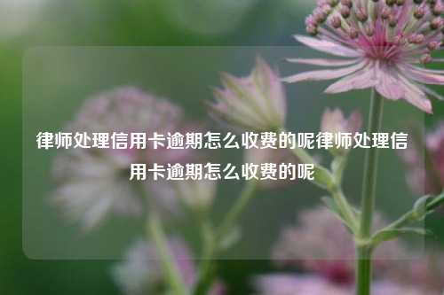 律师处理信用卡逾期怎么收费的呢律师处理信用卡逾期怎么收费的呢