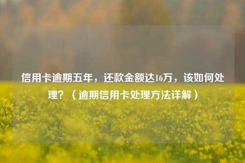 信用卡逾期五年，还款金额达16万，该如何处理？（逾期信用卡处理方法详解）