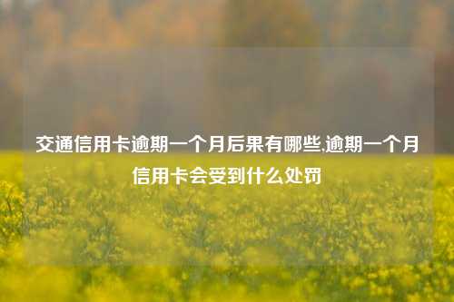 交通信用卡逾期一个月后果有哪些,逾期一个月信用卡会受到什么处罚